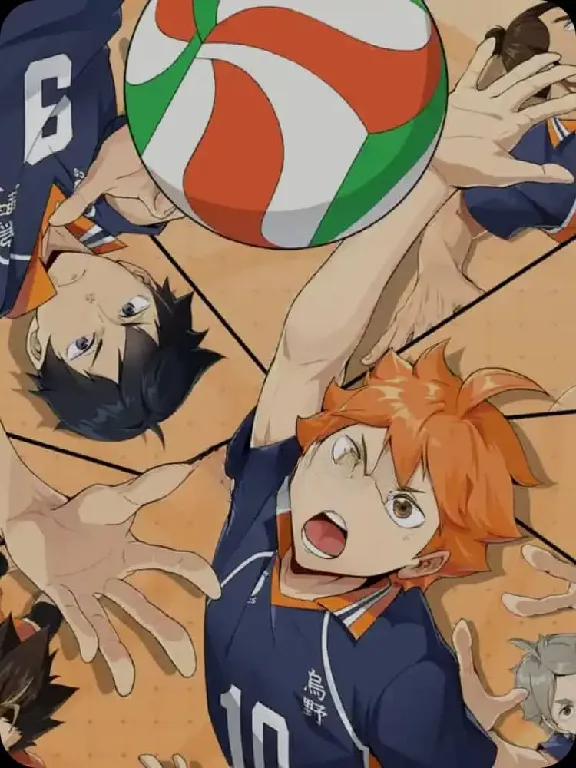 HAIKYU!! FLY HIGH