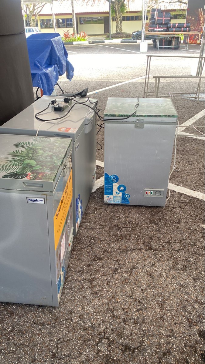 Freezer Rental