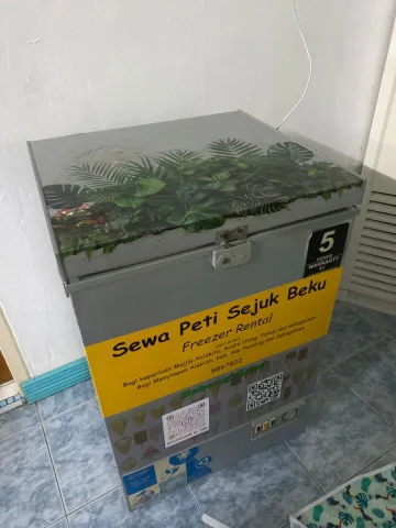 Freezer Rental